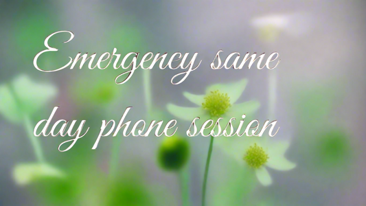 Emergency Same Day Phone Sessions